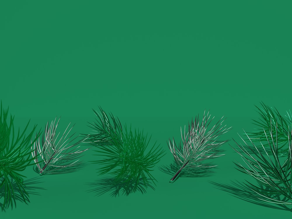 a group of pine needles on a green background
