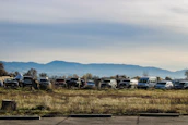 A row of rental cars lined up with a mountain landscape in the background.