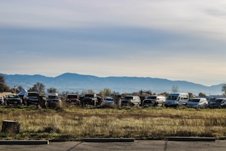 A diverse range of rental vehicles parked in a sunny outdoor setting.