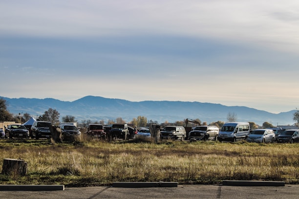 A diverse range of rental vehicles parked in a sunny outdoor setting.
