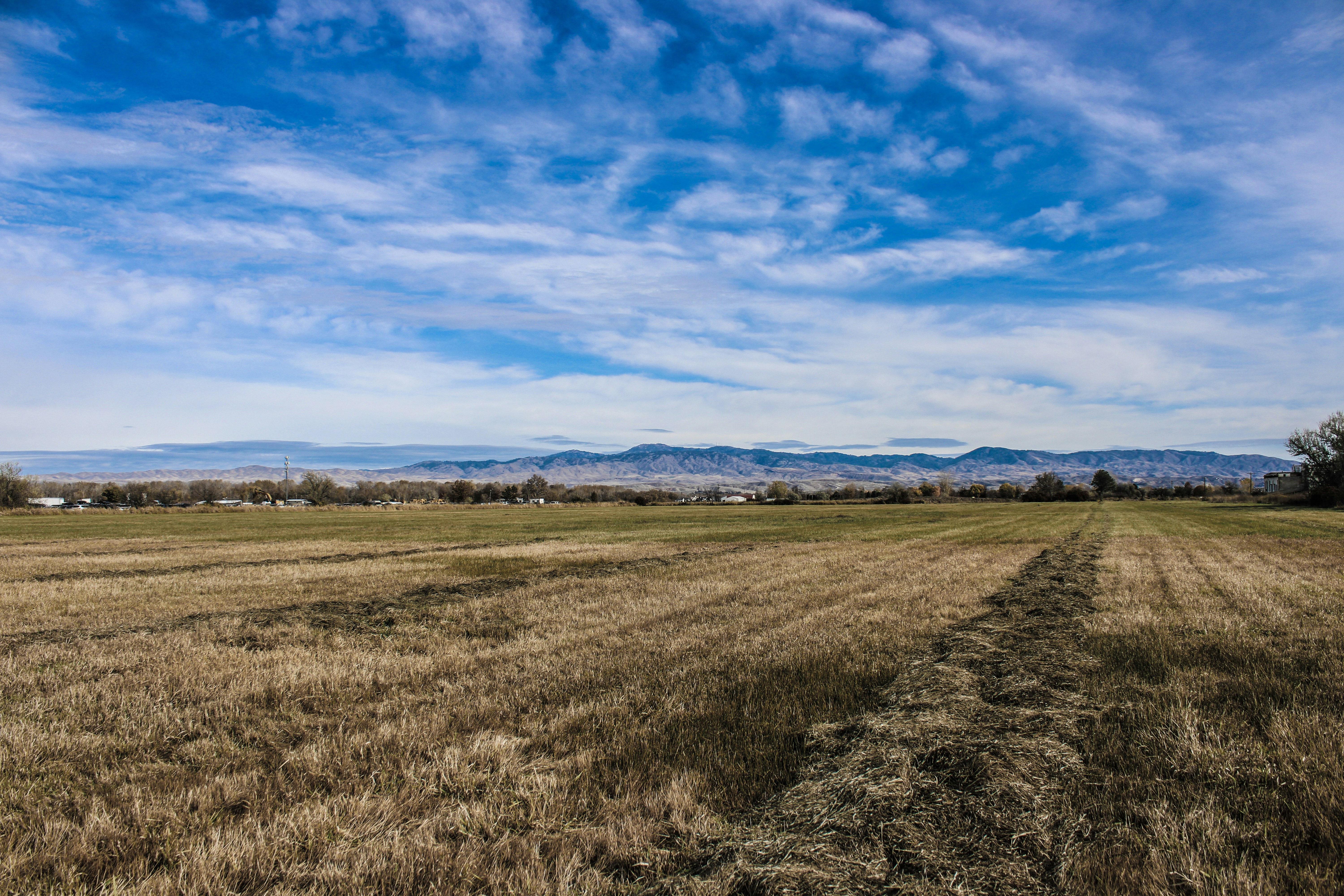 Photo by prphotography262