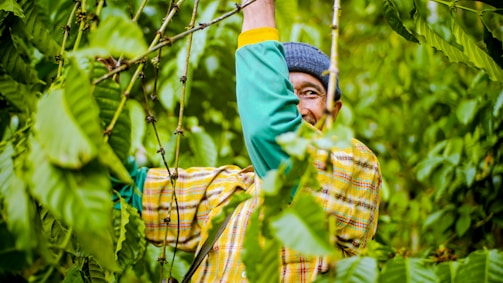 a man standing in the middle of a lush green forest