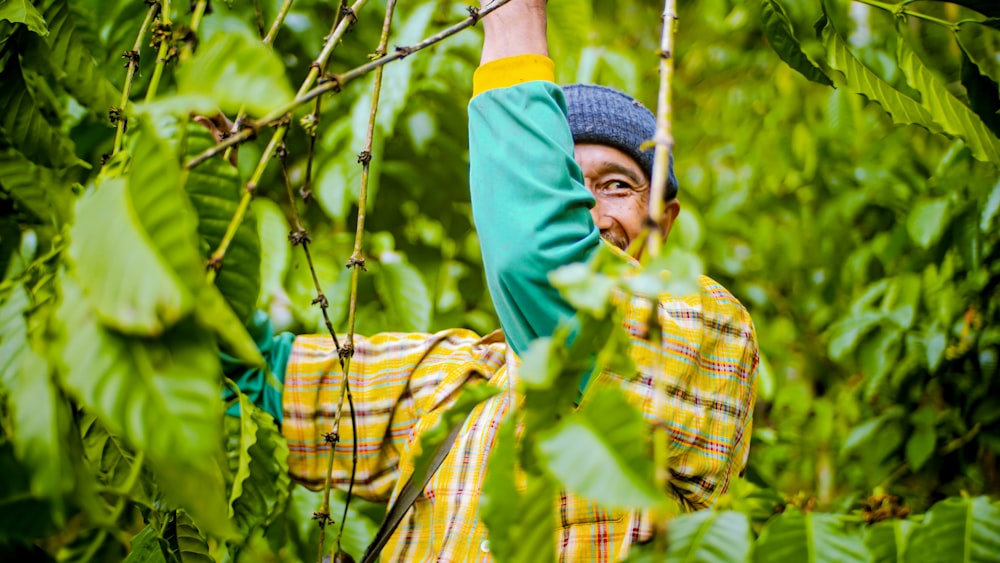 a man standing in the middle of a lush green forest