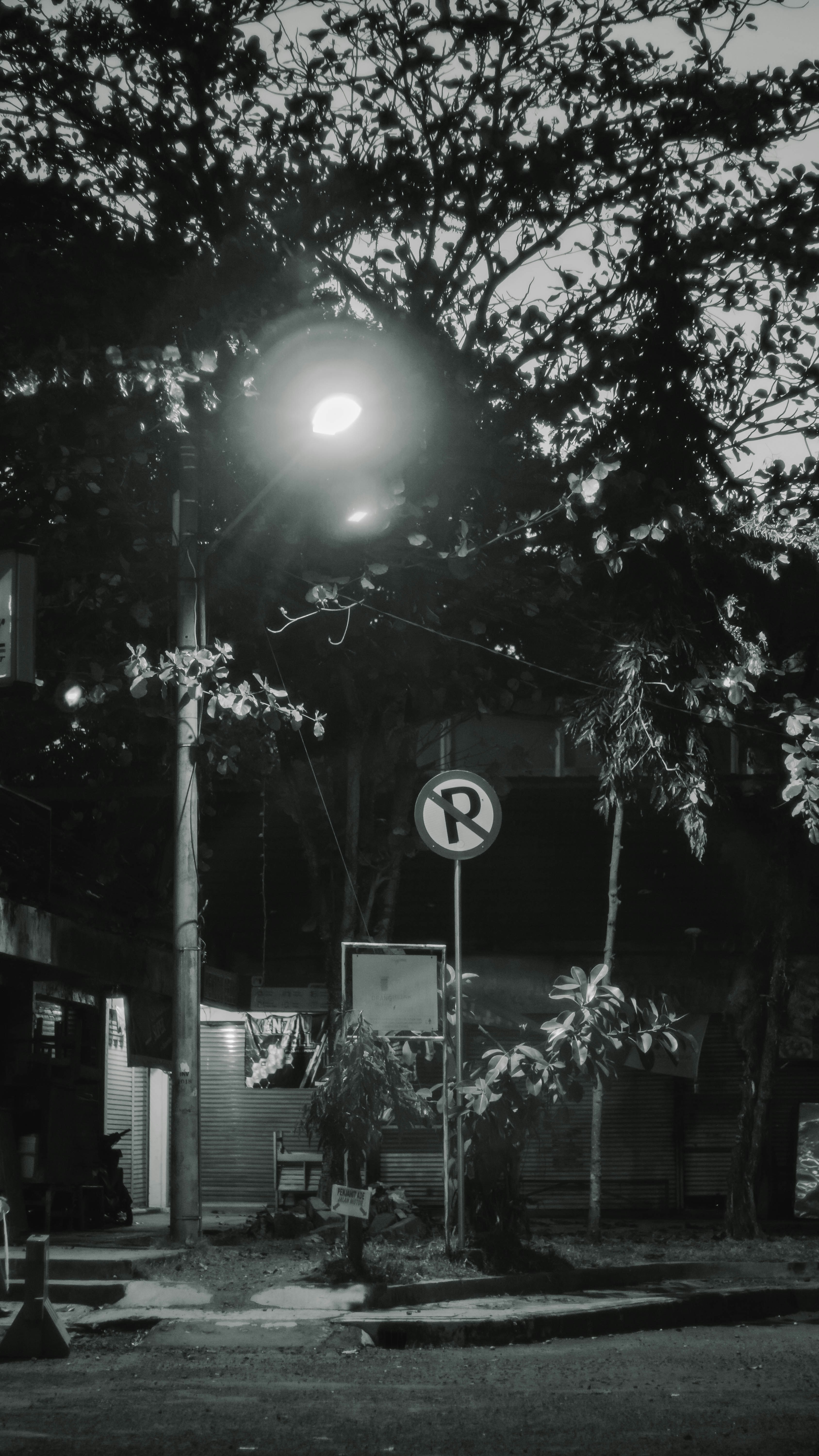 a black and white photo of a street light