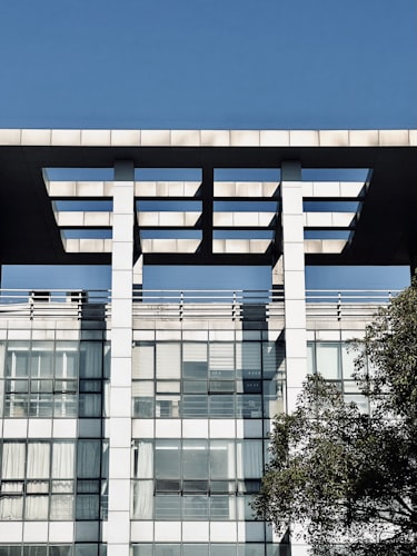 Artificial Intelligence at MIT