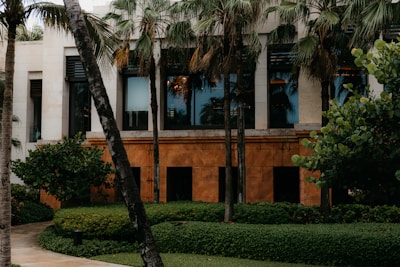 A modern commercial building exterior showcasing expert stonework and landscaping.