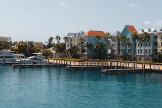 a marina with boats docked and palm trees in the background