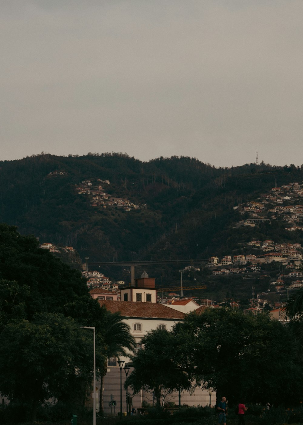 a plane flying over a city with a mountain in the background