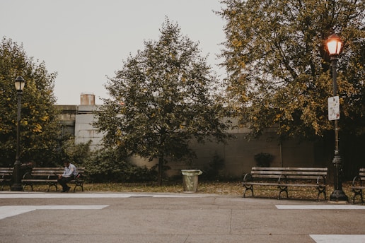 A quiet, reflective scene of a person sitting alone in a peaceful park at dawn.