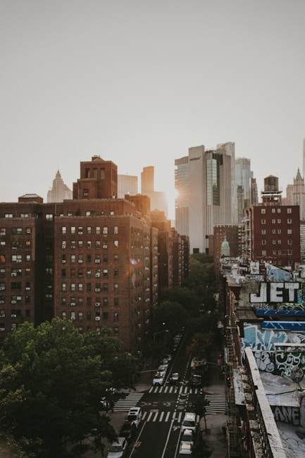 Urban setting featuring tall buildings with a mixture of modern glass skyscrapers and old brick structures. The street below is lined with trees and cars, with some graffiti visible on a rooftop. The sun is setting, casting a warm glow over the scene.