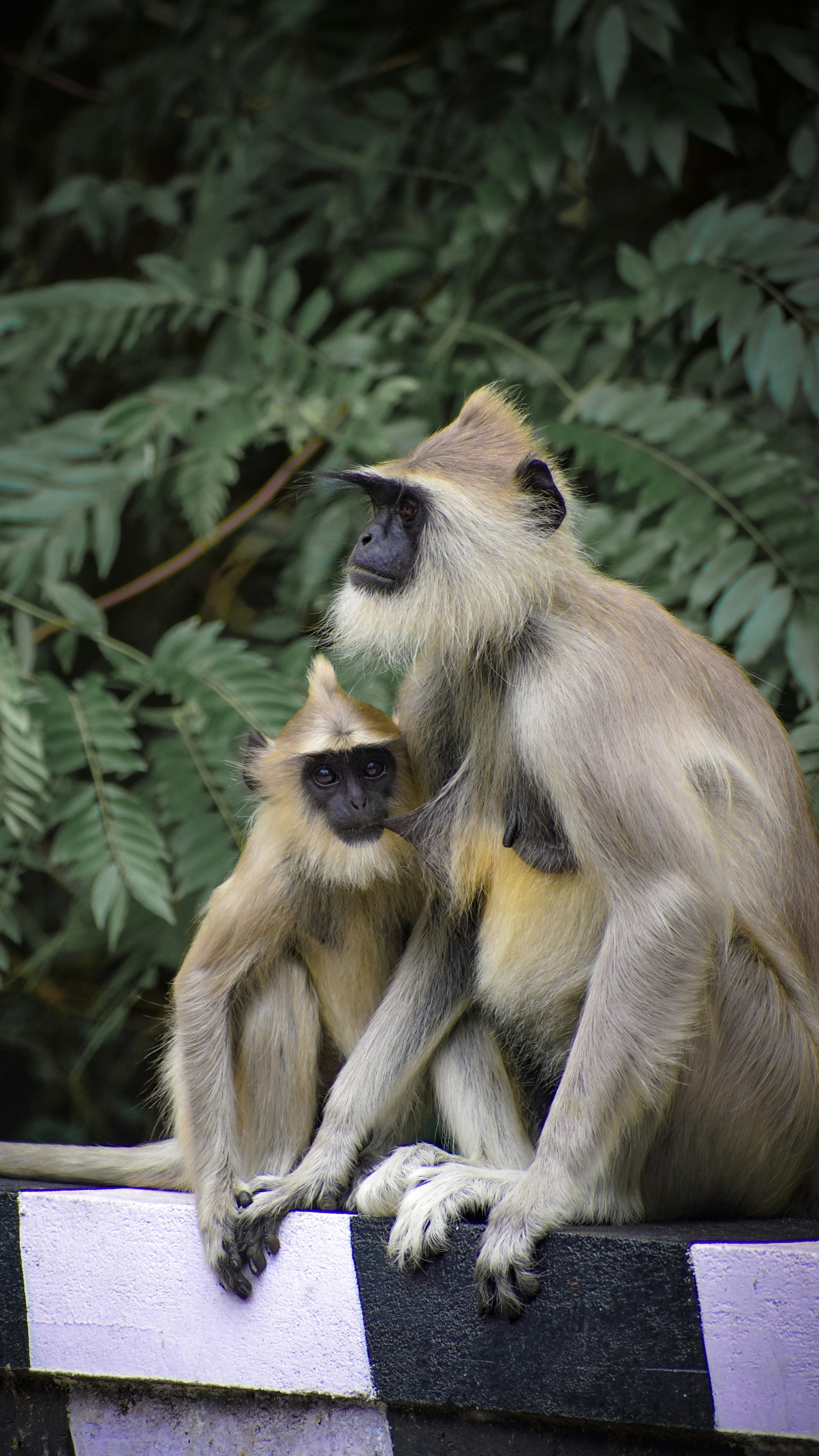 Photo by hacker_camerwork