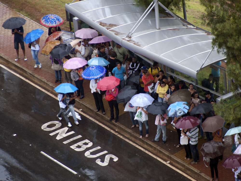a crowd of people with umbrellas standing on the side of a road