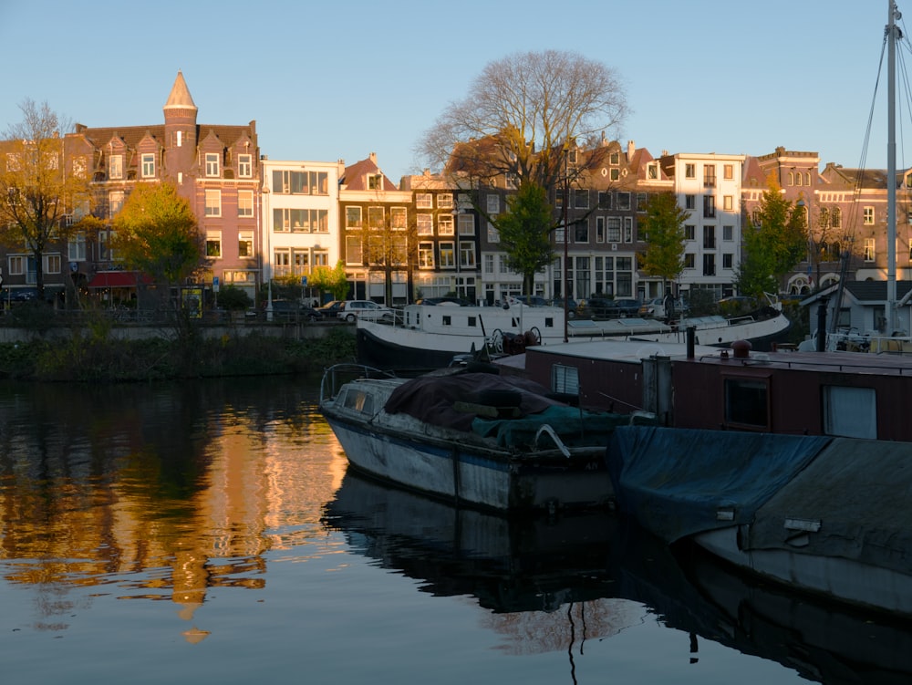 a row of houses next to a body of water