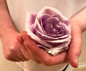 A close-up of hands gently holding a travel itinerary and a rose, symbolizing care and attention to detail.