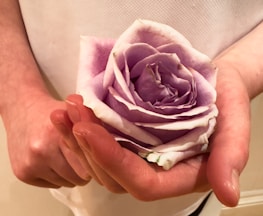 A close-up of hands gently holding a travel itinerary and a rose, symbolizing care and attention to detail.