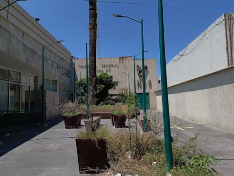 An outdoor urban scene features a concrete courtyard with tall green lampposts and large potted plants at various stages of growth. The background includes the facade of a building with the words 'Hospital General Zona 5' partially visible, flanked by windows and greenery. The sky appears clear and bright, suggesting a sunny day.