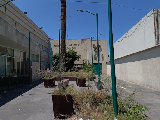 An outdoor urban scene features a concrete courtyard with tall green lampposts and large potted plants at various stages of growth. The background includes the facade of a building with the words 'Hospital General Zona 5' partially visible, flanked by windows and greenery. The sky appears clear and bright, suggesting a sunny day.