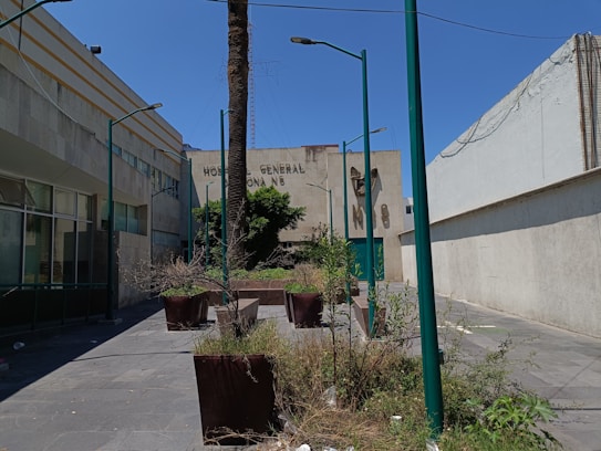 An outdoor urban scene features a concrete courtyard with tall green lampposts and large potted plants at various stages of growth. The background includes the facade of a building with the words 'Hospital General Zona 5' partially visible, flanked by windows and greenery. The sky appears clear and bright, suggesting a sunny day.