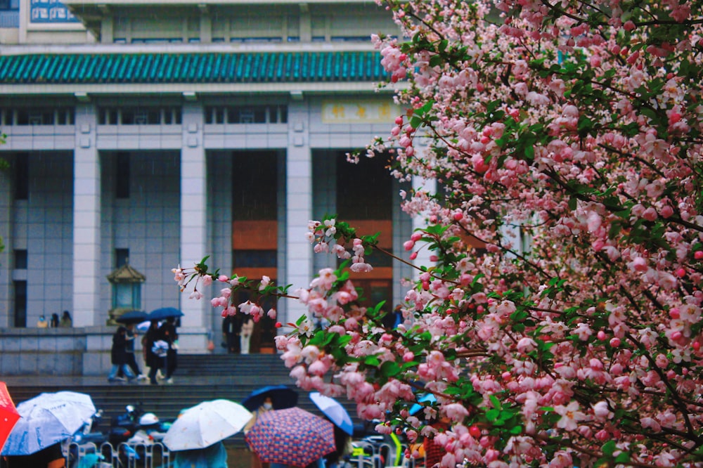 a group of people with umbrellas standing in front of a building