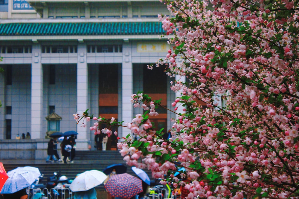 um grupo de pessoas com guarda-chuvas em frente a um prédio