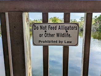 A metal railing supports a sign that warns against feeding alligators or other wildlife, as it is prohibited by law. Behind the sign, there is a tranquil body of water surrounded by trees and vegetation.