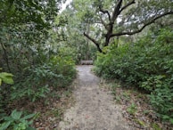 Nature trails leading to a tranquil spot.