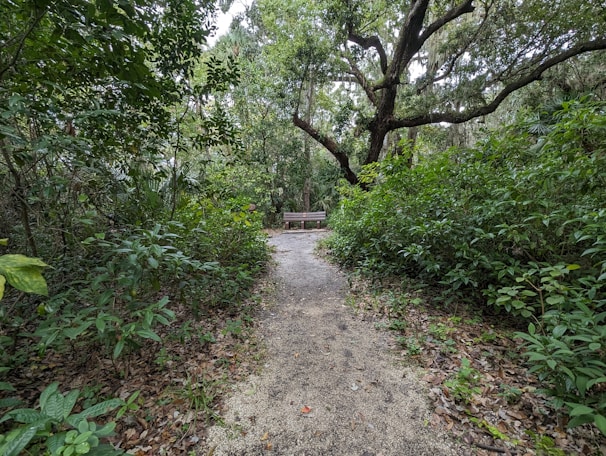 A quiet bench beside a winding path, perfect for pausing and breathing.