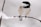 a small black and white bird perched on a branch