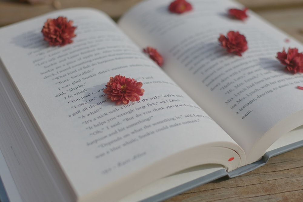 an open book with red flowers on it