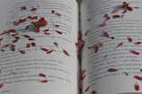 An open book with rose petals scattered across the pages.