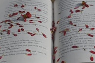 An open e-book with a page showing a tender love letter, surrounded by rose petals.