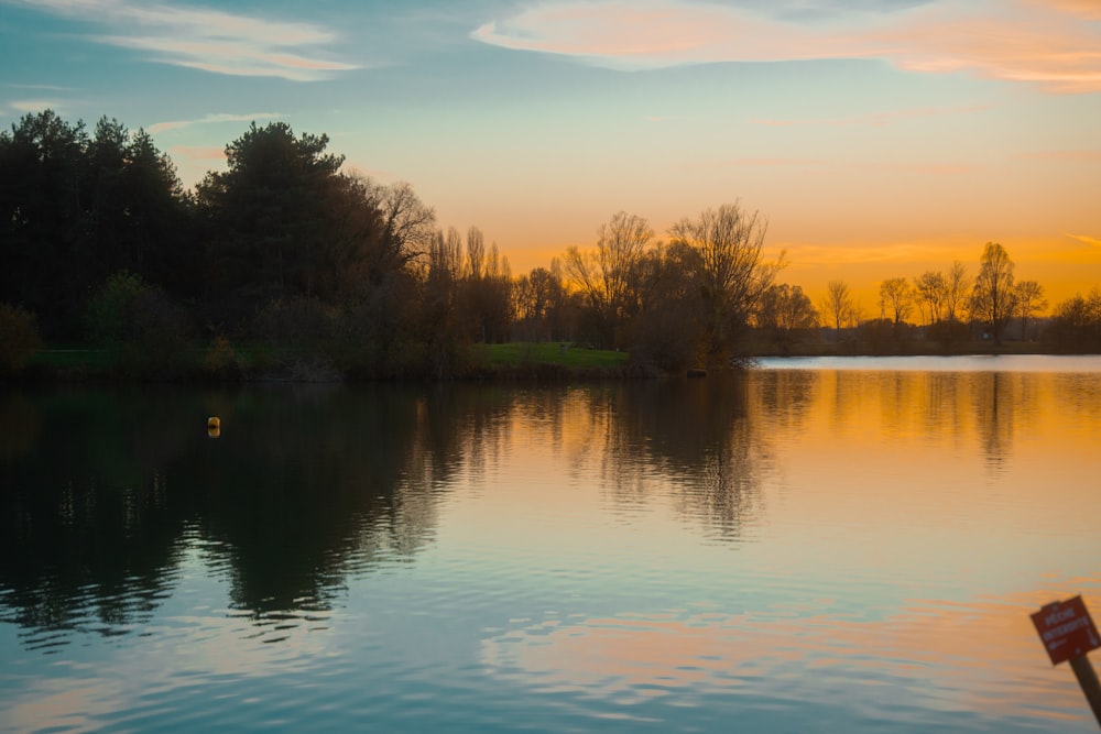 a body of water with trees in the background