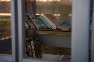 A collection of books is displayed on a shelf inside a glass enclosure. The books are varied in size and color, and a few are leaning against each other, suggesting they may have been recently placed. The enclosure appears to be a small library or book exchange, with glass panels allowing natural light to filter in. The overall scene is quiet and serene, suggesting an inviting place for reading.