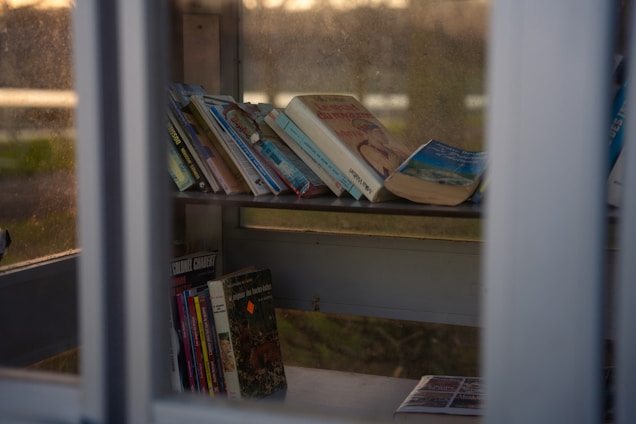 A collection of books is displayed on a shelf inside a glass enclosure. The books are varied in size and color, and a few are leaning against each other, suggesting they may have been recently placed. The enclosure appears to be a small library or book exchange, with glass panels allowing natural light to filter in. The overall scene is quiet and serene, suggesting an inviting place for reading.