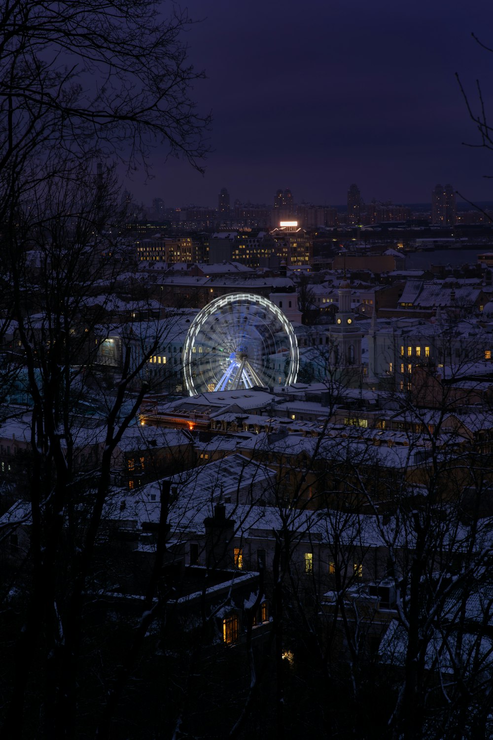 a ferris wheel in the middle of a city at night