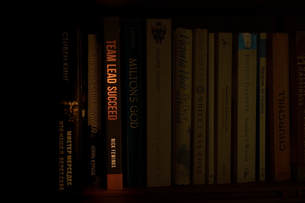 ein Bücherregal mit vielen Büchern in einem dunklen Raum