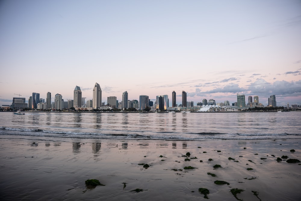 a view of a city from a beach