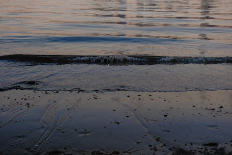 A calm sea shore at dusk with gentle waves touching the sand, evoking a sense of reflection
