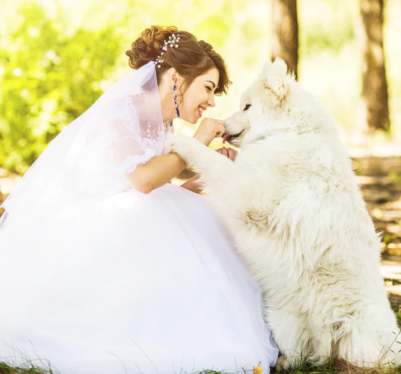 A bride in her wedding dress crouching down to stroke a white dog