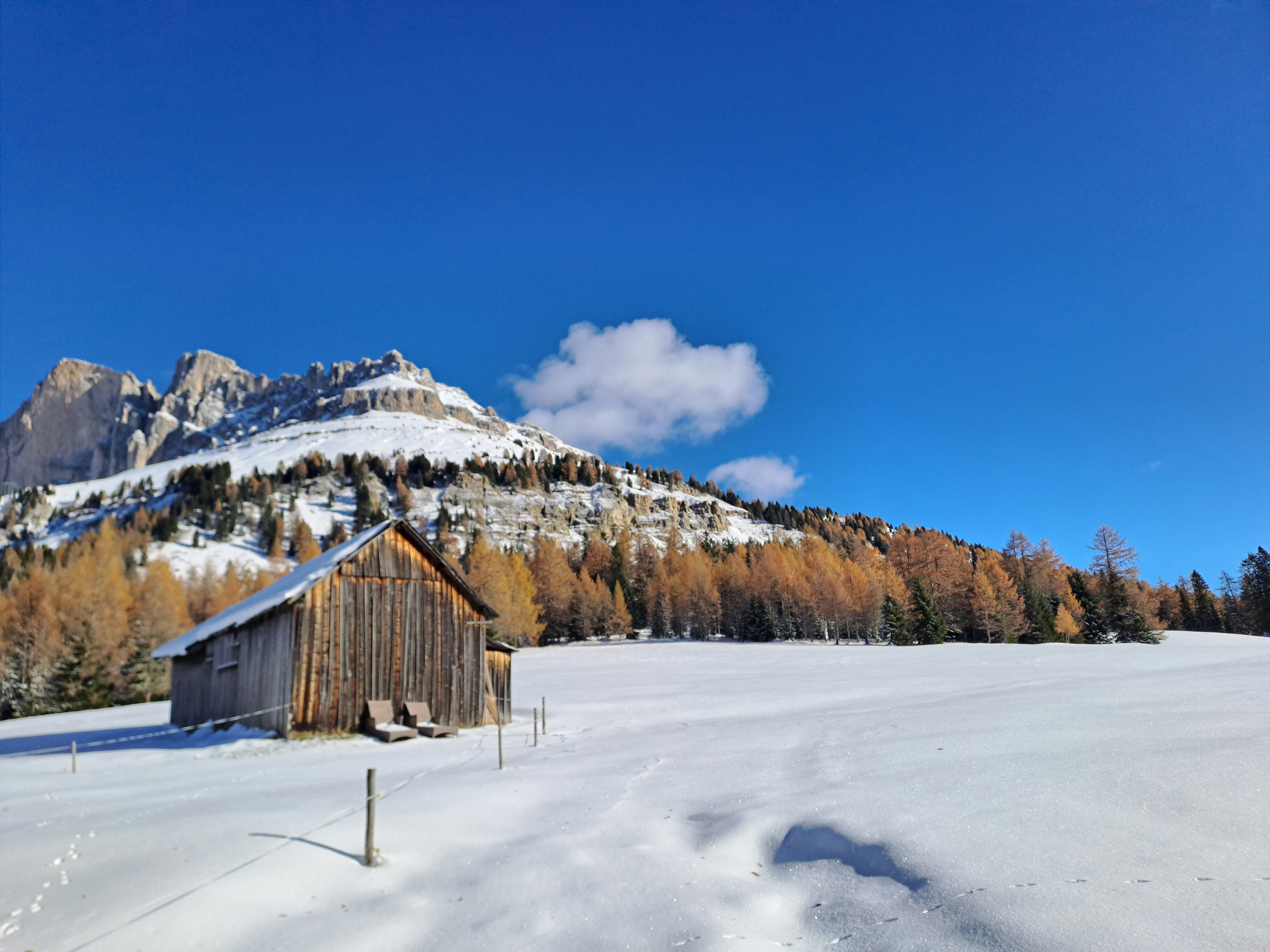 A barn in the middle of a snowy field photo – Free Wonderland Image on ...