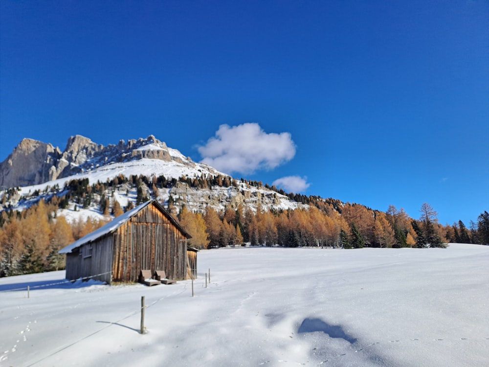 a barn in the middle of a snowy field