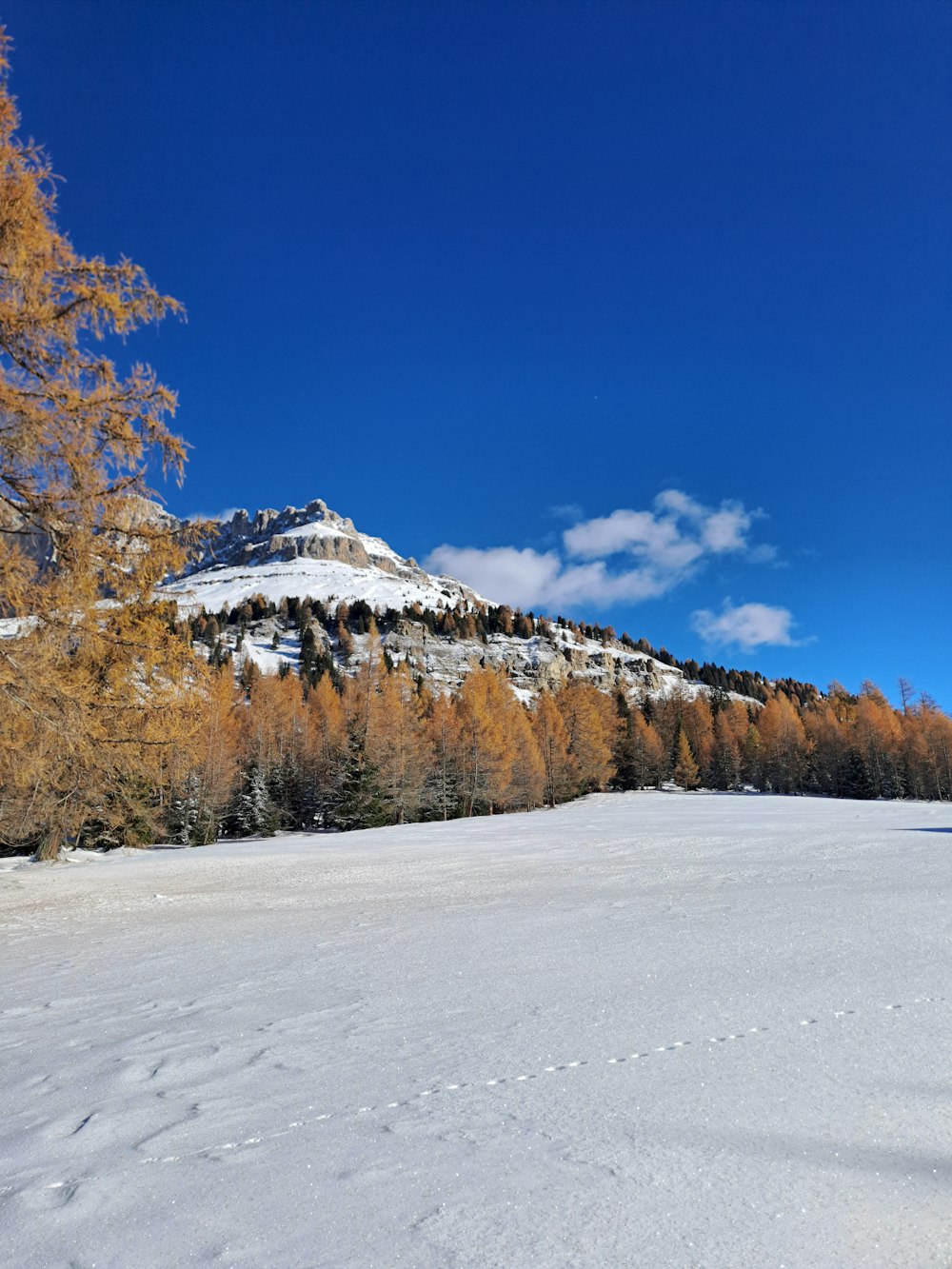 a snow covered field with a mountain in the background