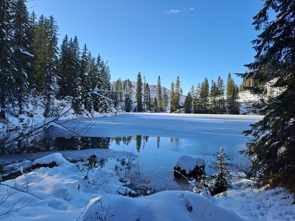 a small lake surrounded by snow covered trees