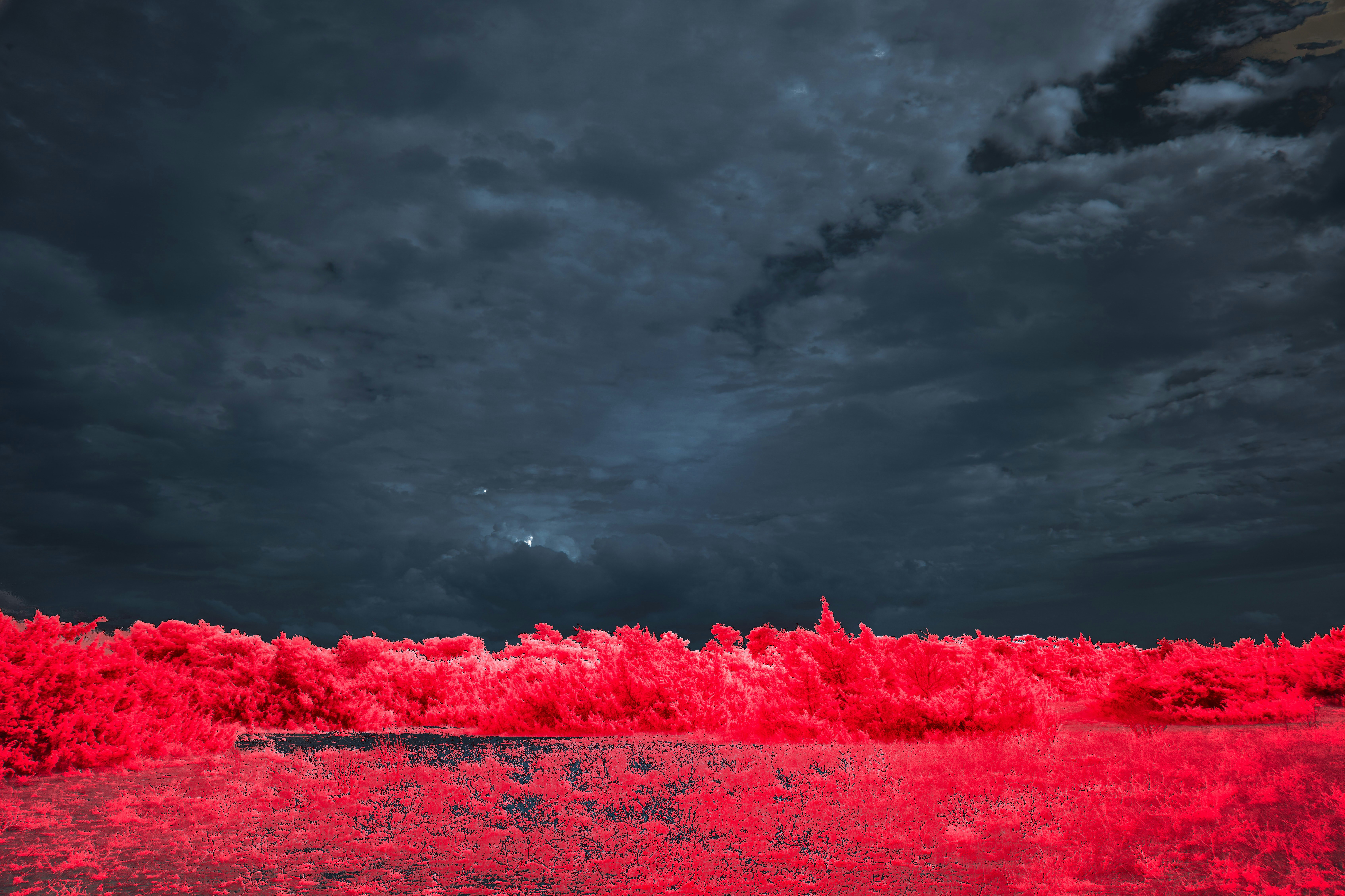 Photo by wolfgang_hasselmann