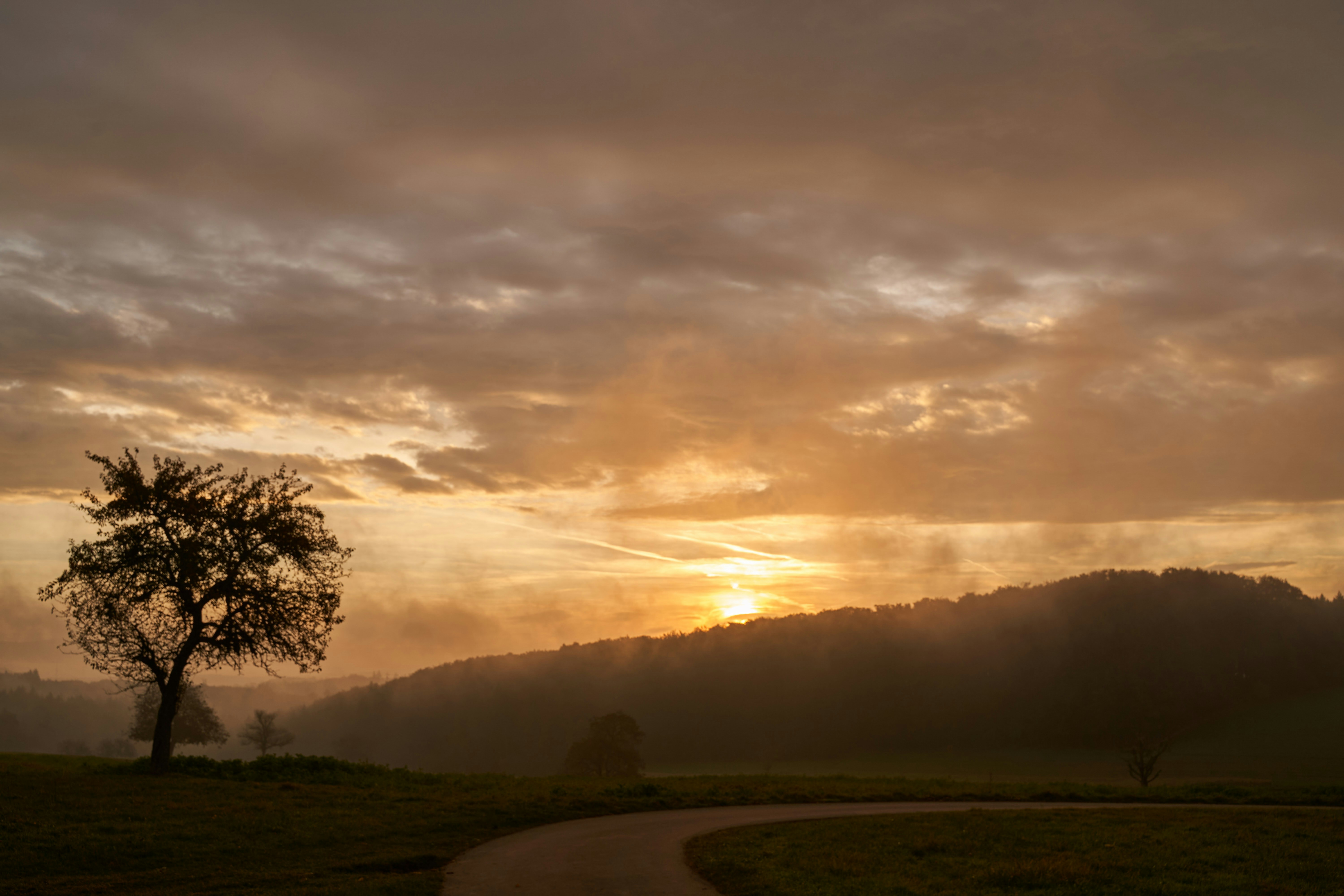 Photo by wolfgang_hasselmann