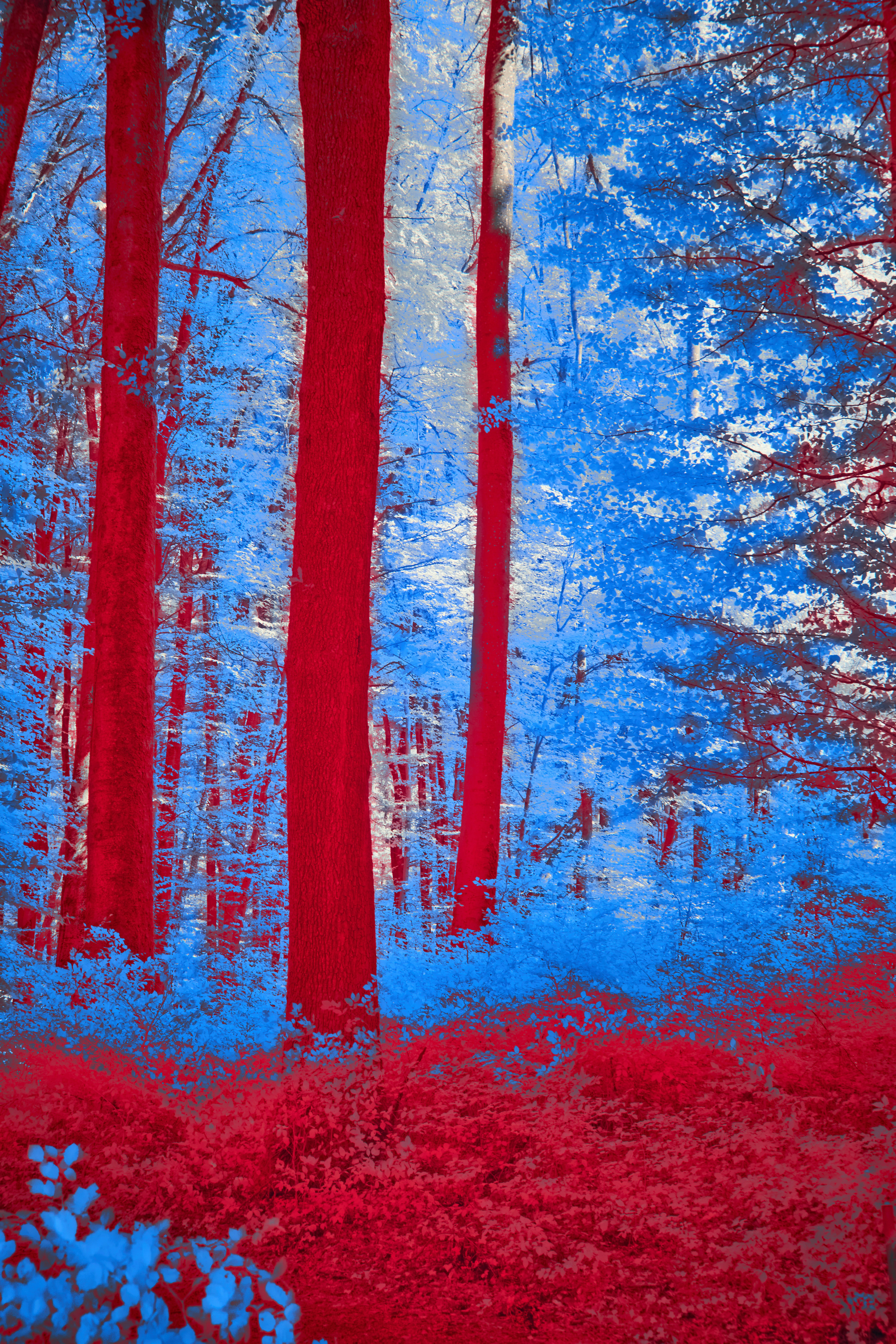 Photo by wolfgang_hasselmann