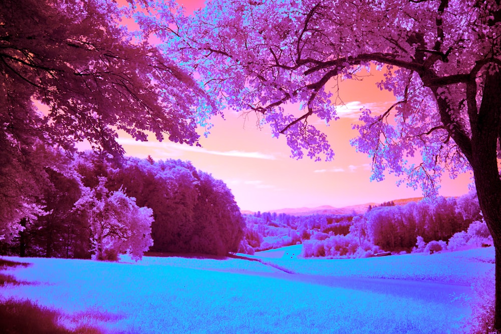 a pink and blue infrared image of trees in a field