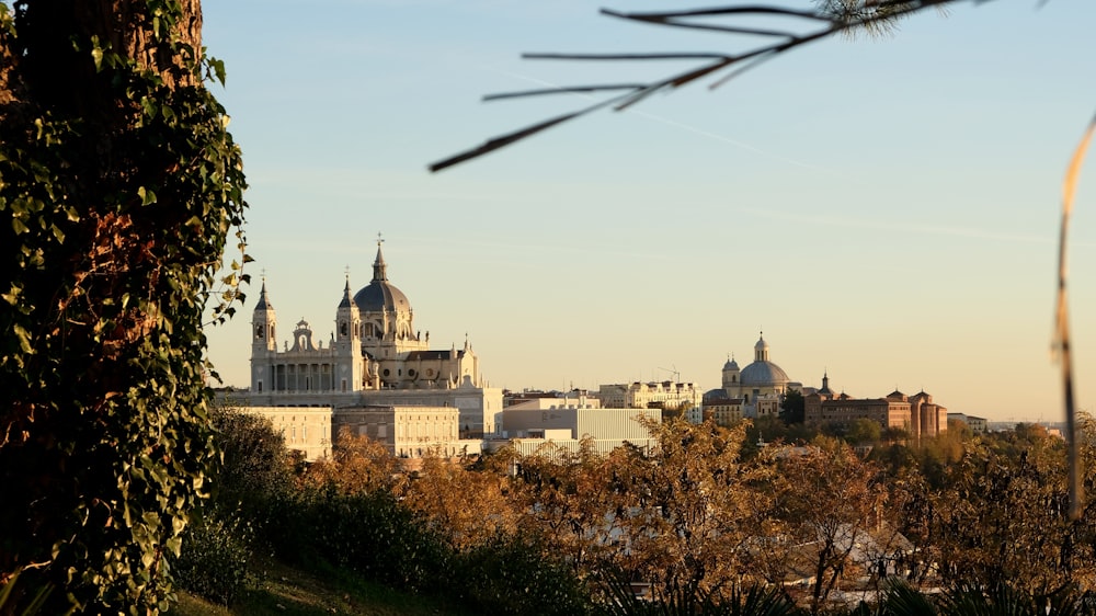 a view of a city from a distance