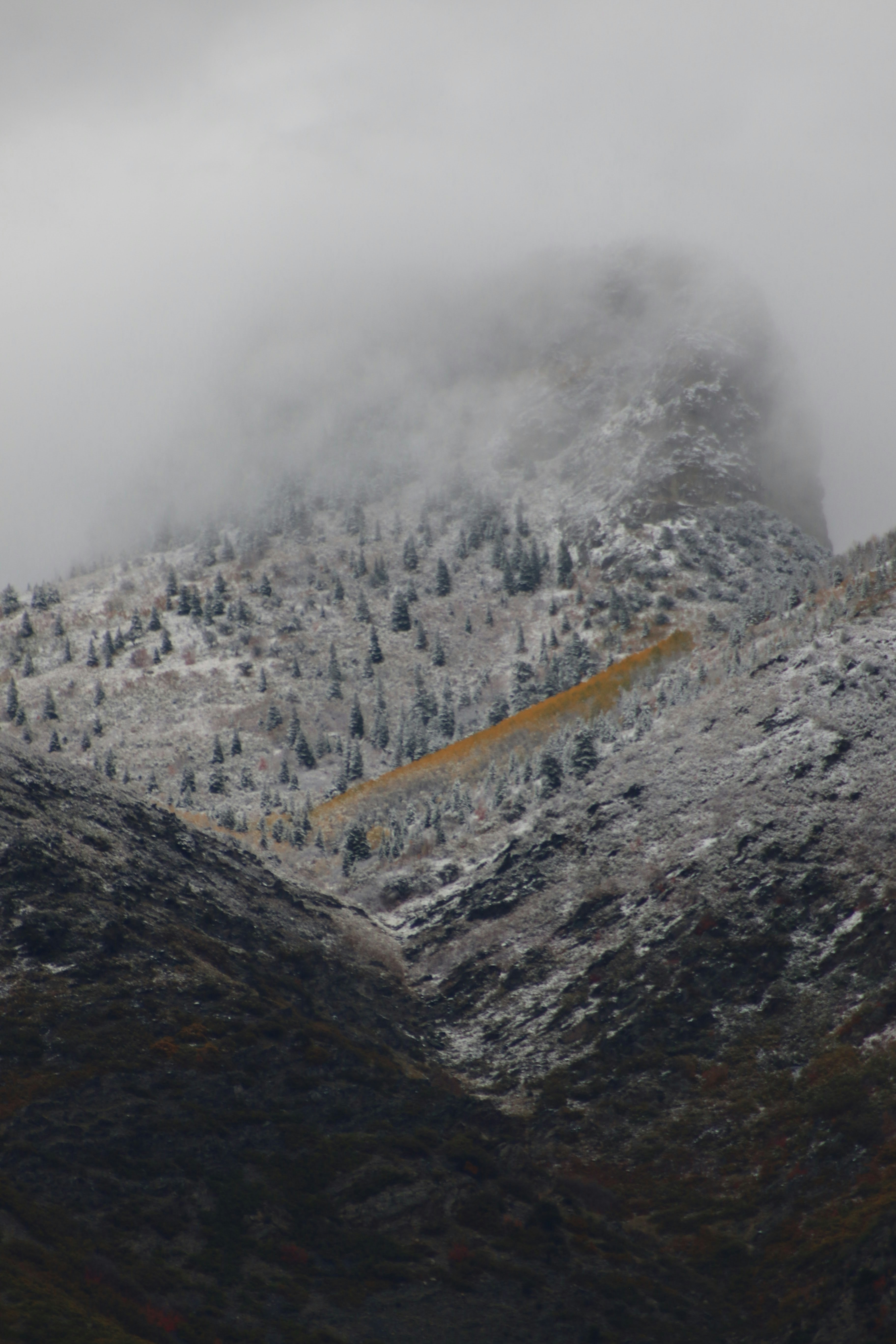 Photo by isaacquick1