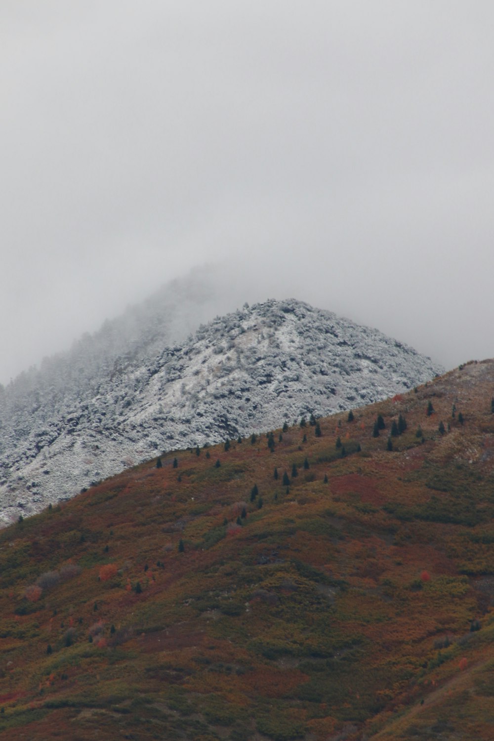 a mountain covered in snow and trees on a cloudy day
